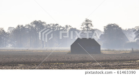 Misty november countryside landscape Misty november countryside landscape 61463390
