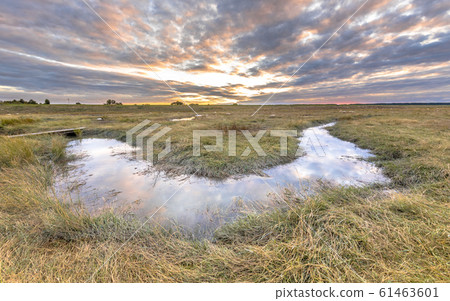Channel in Tidal Marshland nature reserve Channel in Tidal Marshland nature reserve 61463601