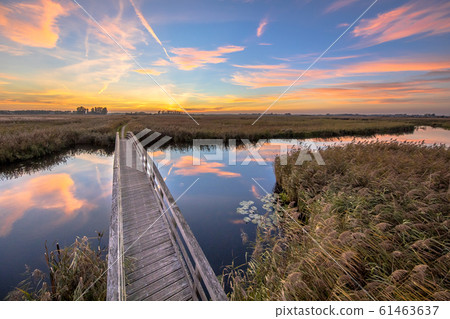 Wooden bridge for bicycles 61463637