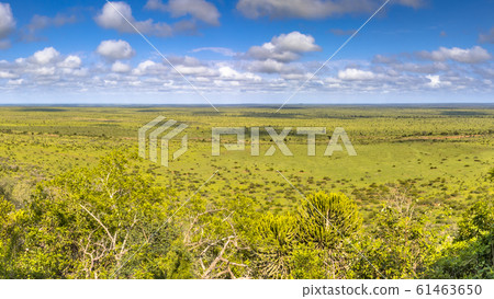 View at Nkumbe viewpoint 61463650