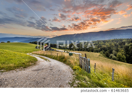 Rural road in mountain landscape in French Alps Rural road in mountain landscape in French Alps 61463685