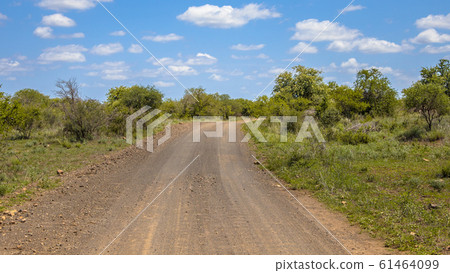 Gravel road through Kruger park 61464099