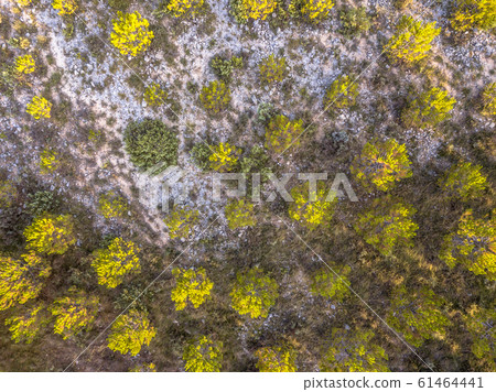 Sparsely vegetated barren landscape Sparsely vegetated barren landscape 61464441