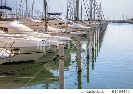 Marina with yachts 61464473