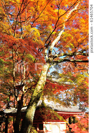 Ushidakiyama Daitokuji Tahoto Ushidakiyama Daitokuji Tahoto 61465704
