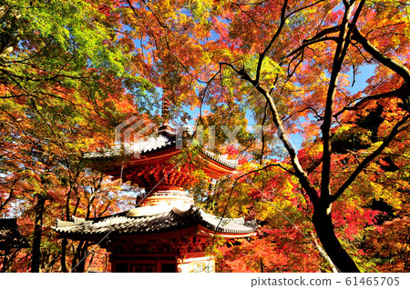 Ushidakiyama Daitokuji Tahoto Ushidakiyama Daitokuji Tahoto 61465705