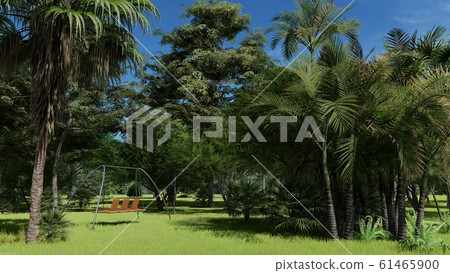 Tropical park in the afternoon 3d rendering Tropical park in the afternoon 3d rendering 61465900