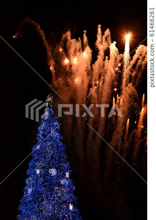 Sparkling christmas 61466261