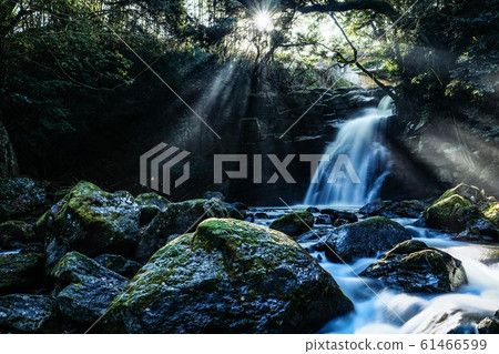 Meoto Falls (Aso) 61466599