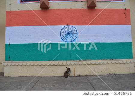 站在印度瓦拉納西恒河西高止山脈牆上的巨型印度國旗下面的小狗 61466751