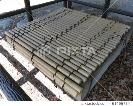 小石川植物園的舊保健院 61466784