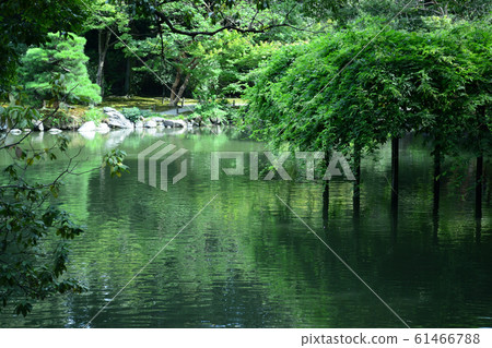 夏季池塘 61466788