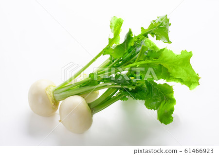 Three small turnips on white background Three small turnips on white background 61466923