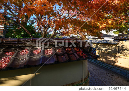 長町武士住宅的風景 61467344