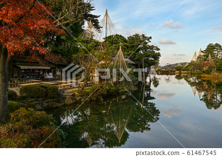 Kenrokuen秋葉 61467545