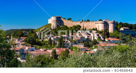 Palace of the Popes, Avignon, France 61468648