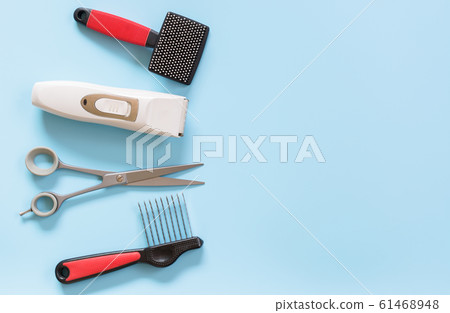 top view of dog grooming tools set on light blue background. top view of dog grooming tools set on light blue background. 61468948