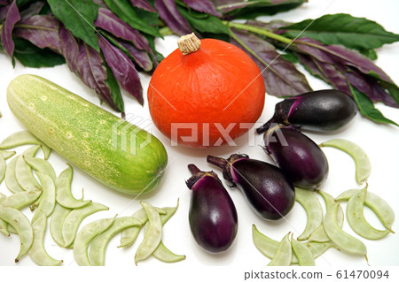 Kaga Vegetables Summer 61470094