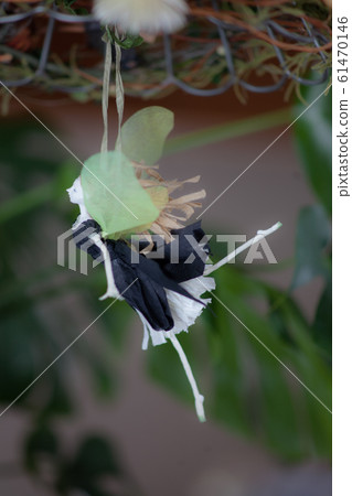 花仙子 61470146