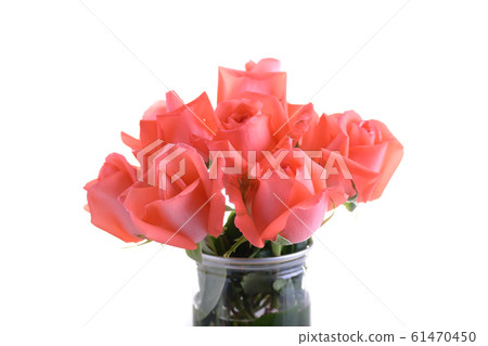 orange rose bouquet flower in glass vase decoration isolated on white background 61470450