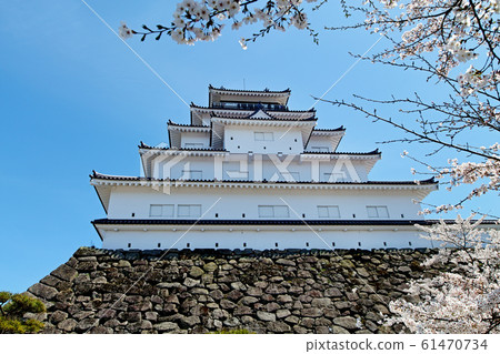 Fukushima / Tsuruga Castle in full bloom (Aizuwakamatsu Castle) 61470734