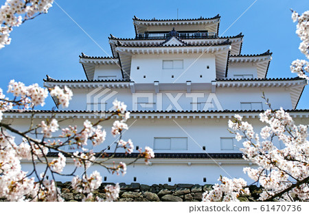 Fukushima / Tsuruga Castle in full bloom (Aizuwakamatsu Castle) Fukushima / Tsuruga Castle in full bloom (Aizuwakamatsu Castle) 61470736