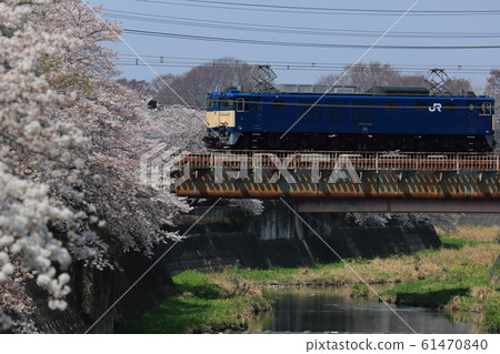 中央線貨運列車櫻花 61470840