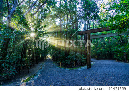 [三重縣]透過伊勢神宮，閣庫，進入神社 61471269