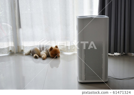 air purifier system cleaning dust pm 2.5 pollution in living room with cute dog in home air purifier system cleaning dust pm 2.5 pollution in living room with cute dog in home 61471324