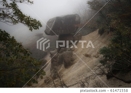 平衡搖滾 平衡搖滾 61471558