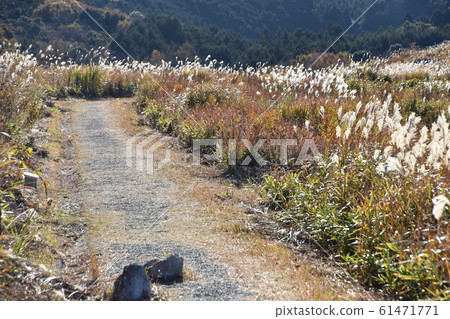 秋吉台 秋吉台 61471771