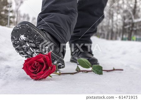 A man steps on a red rose lying in the snow due to separation from his beloved 61471915