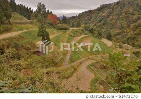 松山的水稻梯田 松山的水稻梯田 61472170