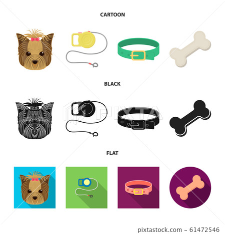 Isolated object of pet and accessories sign. Collection of pet and shop vector icon for stock. Isolated object of pet and accessories sign. Collection of pet and shop vector icon for stock. 61472546