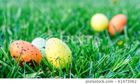 multicolored easter eggs on green grass multicolored easter eggs on green grass 61473062