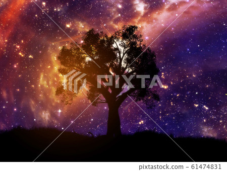 Lone tree over starry sky 61474831