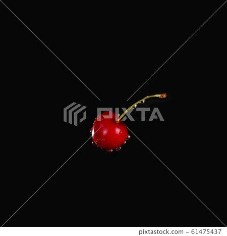 Cherry with water drops over black background Cherry with water drops over black background 61475437
