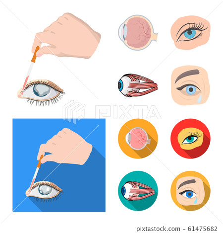 Vector design of medical and eyeball symbol. Collection of medical and optical stock vector illustration. Vector design of medical and eyeball symbol. Collection of medical and optical stock vector illustration. 61475682