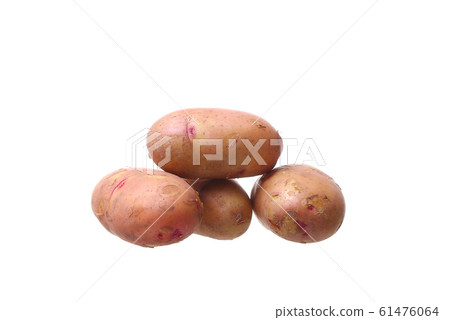 potato isolated on white background close up potato isolated on white background close up 61476064