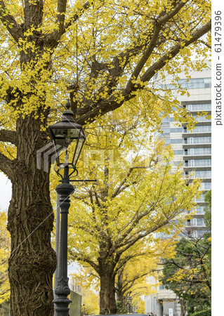 [秋葉伊cho橫濱] 61479396