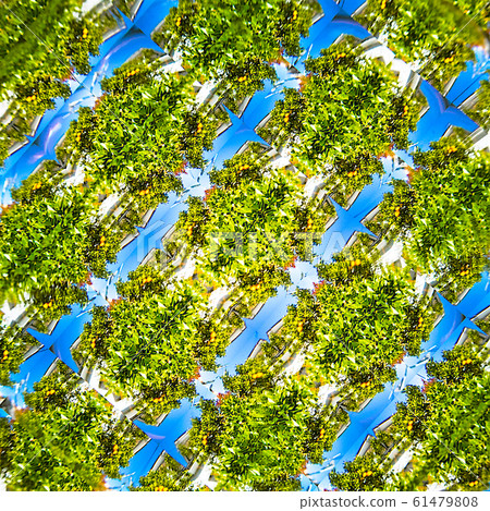 Kaleidoscope pattern 61479808