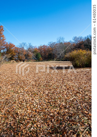 ug屋館西之區遺跡 61480035
