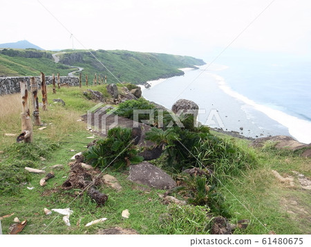 與那國島（東崎） 61480675