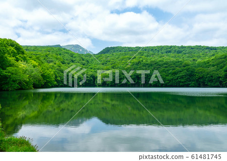 [Aomori Prefecture Towada City] The fresh green Tsutanuma is a hidden area of healing 61481745