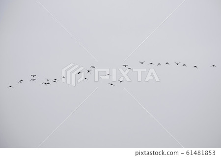 Siheung Tidal-Ecological Park, Siheung City, Gyeonggi-do 61481853