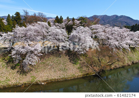 福島/敦賀城堡盛開（會津若松城堡） 61482174