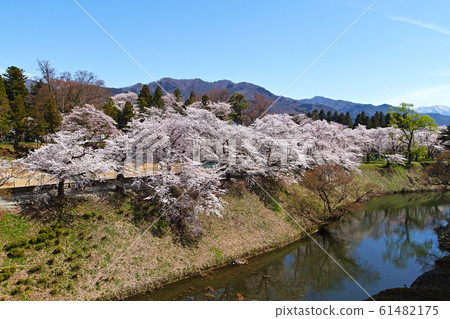 福島/敦賀城堡盛開（會津若松城堡） 61482175