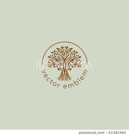 Logo design template tree round Logo design template tree round 61482460