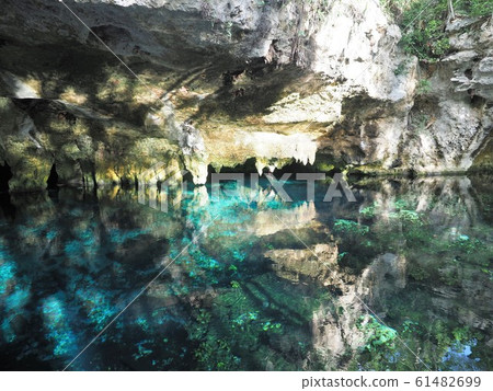 <Mexico> Gran Cenote 61482699