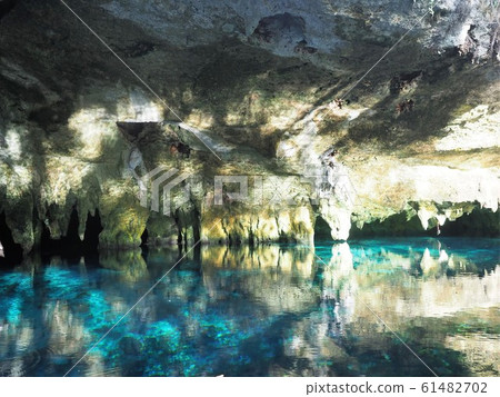 <Mexico> Gran Cenote 61482702